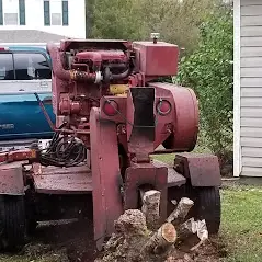 Stump Grinding Service